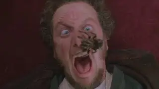 Home Alone 1 and 2 but it's just Harry and Marv being injured and abused