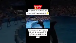 #wgitachi || captive orca grabs trainer || disturbing lost media #jessica #orcaattack  #dolphin