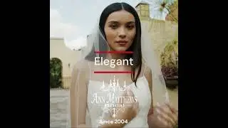 Wedding Dress Inspiration | Timeless Beauty