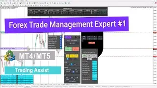📊Prop Trading Expert Panel with Drawdown Limiter #1 (Forex Trade Management Expert) [Trading Finder]