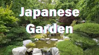 Exploring the Japanese Friendship Garden in San Diego's Balboa Park