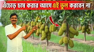 এঁচোড় চাষ শুরুর আগে এই ৫টি বিষয় না জানলে ক্ষতি নিশ্চিত! | Modern Echor Cultivation Tips 
