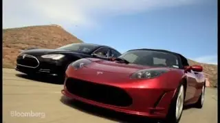 Tesla Banned: Just Who Is Driving Them Now?