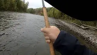 Steelhead Babine 2018
