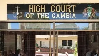 Drama in Court. Animal Owner Convicted 😲😮😲