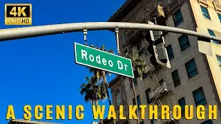Rodeo Drive: A Scenic Walkthrough | Through My Lens
