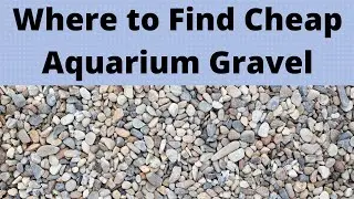 Where to Find Cheap Aquarium Gravel