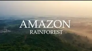 Amazon Rainforest 4K: Amazon Jungle | Nature Documentary | Free Stock Footage | Copyright Free Video