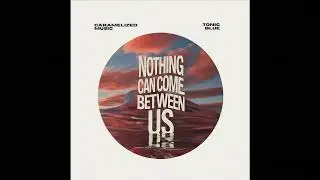 Nothing Can Come Between Us (Tonic Blue & Caramelized Music Bootleg) | Soulful Amapiano