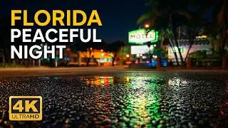 Sounds of Lonely Cars at Night (Florida, US) - Relaxing Cityscape
