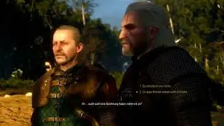 #02 Das gefallene Temerien - Let's Replay The Witcher 3