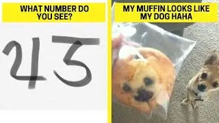 27 Baffling Photos We Struggle to Understand