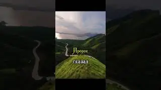 Пророк (с.а.в.) сказал... #коран #сунна #дуа #muhammad #ислам #islam #muslim #пророк #палестина