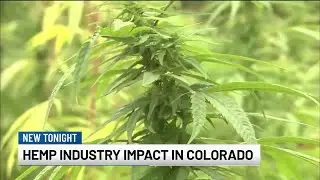 Colorado attorney, advocate react to new federal hemp product ban