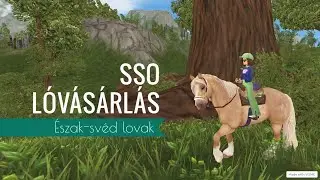 SSO L&oacute;v&aacute;s&aacute;rl&aacute;s *le&aacute;razott &eacute;szak-sv&eacute;dek*