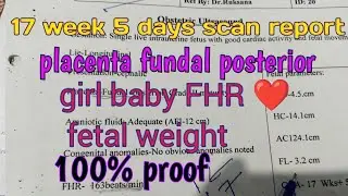 17 week 5 days pregnancy scan report ( fundal posterior ) // girl baby FHR  163❤️bpm 