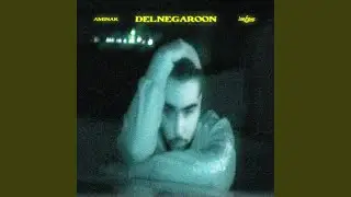 DELNEGAROON