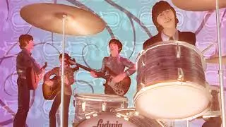 The Beatles Rock Band (DLC) - Michelle