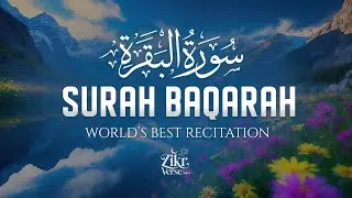 Surah Al-Baqarah Full (سورة البقرة) | ULTIMATE Majestic Quran to Calm the Heart #relaxingquran