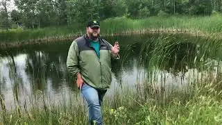 Pond Maintenance Program