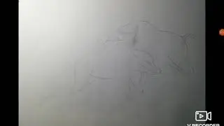Real Animal Battle:Африканский Буйвол VS Белый Носорог