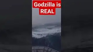 Godzilla caught on camera!!!😳😱🤯 #godzilla