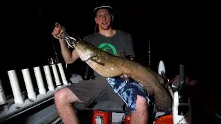 NIGHT FISHING THE DELAWARE RIVER FOR CATFISH
