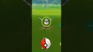 Seriously? Shiny Pidove again.....