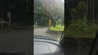 Scenic Drive on the Hamakua coast on the Big Island of Hawaii 