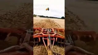 #Amezingvideo  #Tractor #Haro #youtubeshorts #zamindar #haryanvi #follow #nature #field #crops