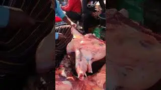amazing butchar desi beef cutting skills in BD #meatcuttingmachine #beef #meatcutter #beefcutter