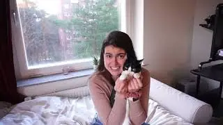 ESTOU TÃO FELIZ - PNA 2023