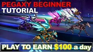 What is Pegaxy? PGX & VIS Price Prediction, Breeding Strategy, Racing Tutorial, Starter's Guide
