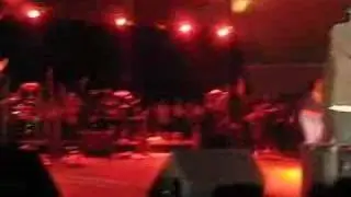 Damian & Stephen Marley - 