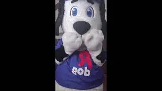 Surferbrg Short New Mascot Costume Republic Bank Dog