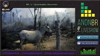 Anonymous AnonBR LiveShow Episode#2 #AmazonForests