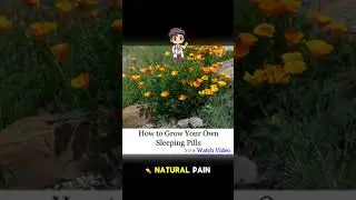 Medicinal Garden Kit: Your Natural Survival Medicine Cabinet