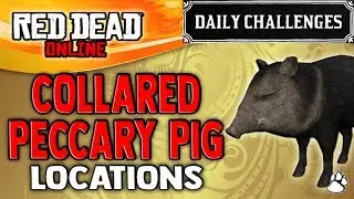 Red Dead Online - Collared Peccary Pig Location - RDR2 Daily Challenge Collared Peccaries Skinned