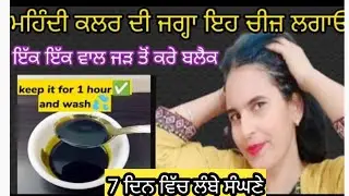 ਨਾ ਮਹਿੰਦੀ ਨਾ ਕਲਰ ਨਾ ਡਾਈ ਵਾਲਾਂ ਨੂੰ ਕਾਲੇ ਕਰਨ ਦਾ ਲੰਬੇ ਕਰਨ ਦਾ ਮੈਜਿਕ ਤੇਲ grey hair black apply 7 day