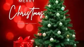 Family ke sath Christmas party 🥳🎉