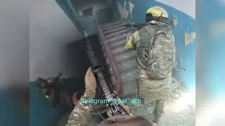 Уникальные кадры как армия РФ размотала элитный спецназ ССО 