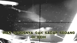 NEMBAK/MASER IKAN GABUS...sangat jelas penampakan ikan ketika menggunakan nigth vision