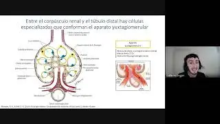 Clase de Repaso SHYSM - Filtración Glomerular - Prof Guillermo Grigioni