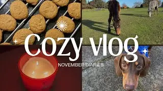 cozy winter vlog!❄️ walks, horses, baking and m&s haul🛍️🌟🎄☁️
