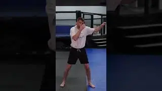 ПРОБЛЕМЫ С ДЛИННОЙ СТРАЖЕЙ