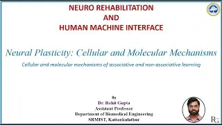 U1 L9 Cellular and molecular mechanisms of associative and non-associative learning
