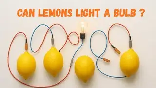 🍋💡 Can Lemons Light a Bulb? | Fun Lemon Battery Experiment for Kids 🔬⚡