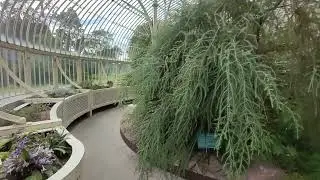 National Botanic Gardens, Dublin, Ireland