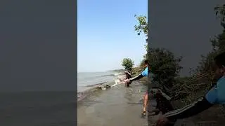 I caught fish in the rhythm of the waves# castnetfishing #villagefishing #fishing # Riverfishing