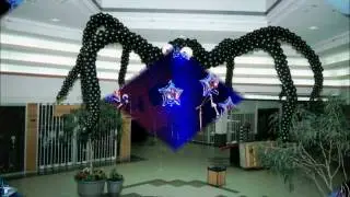 Balloon Decoration Kelowna